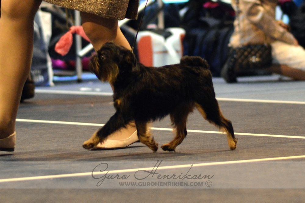 OUR FEMALES | cremetoppen.com